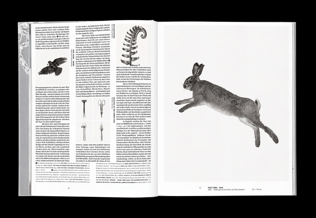 EXEX Vienna Wien Gabriele Rothemann Book Design Editorial Design Elsa Kubik Katharina Luger Christian Schlager
