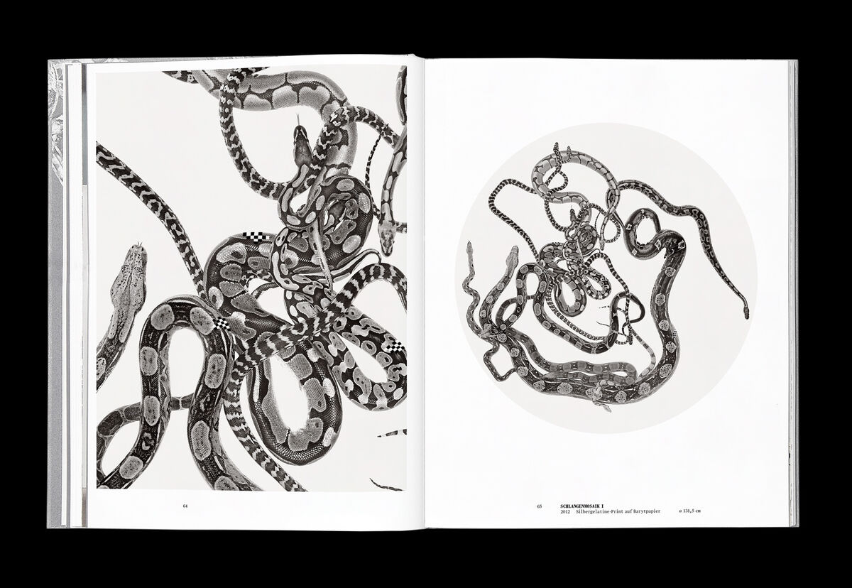 EXEX Vienna Wien Gabriele Rothemann Book Design Editorial Design Elsa Kubik Katharina Luger Christian Schlager